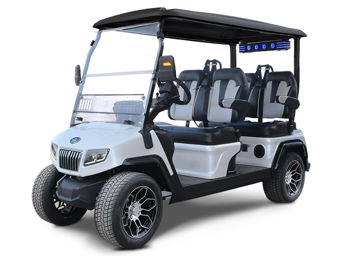 Bolt Energy USA Lithium Batteries for Evolution Golf Carts