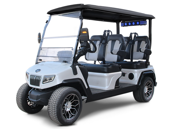 Bolt Energy USA Lithium Batteries for Evolution Golf Carts