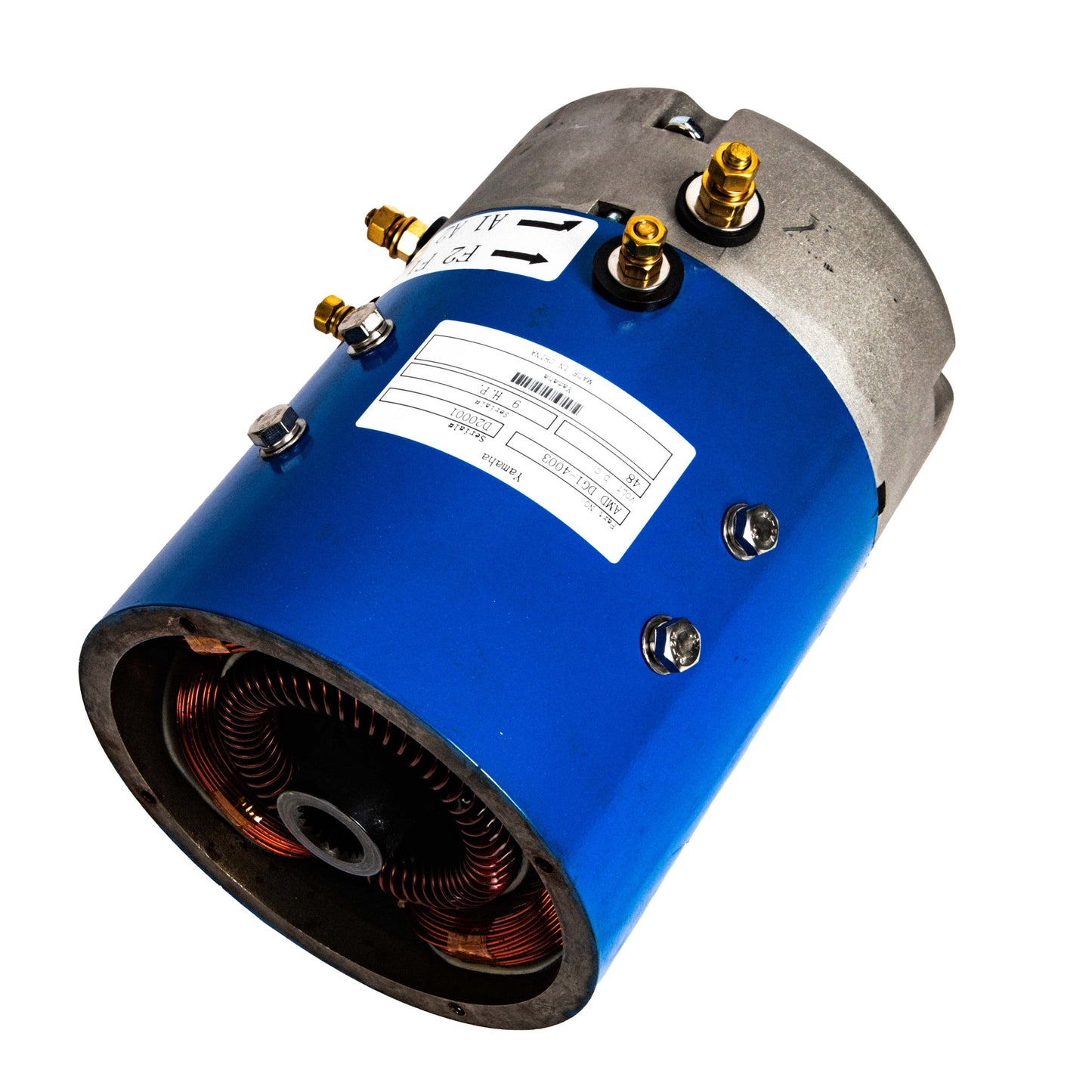 Reliance Yamaha G29/Drive 48V 19 Spline High Speed Motor